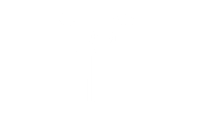 icon of a person giving a demonstration