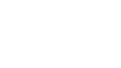 launch icon