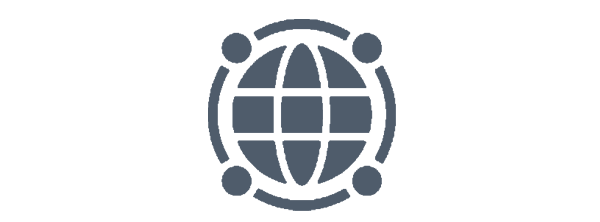 Network icon